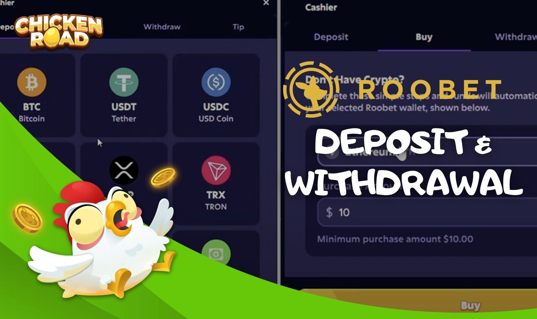 Deposit and Withdrawal Options at Roobet India